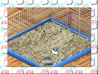 Hamster Monogatari 64 (Japan) In game screenshot